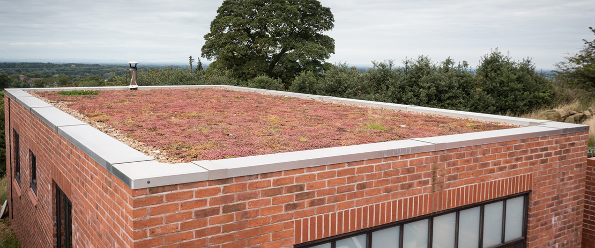 Green garden roof in Staffordshire