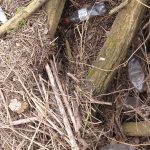 Disregarded Plastic in The River Trent, Staffordshire