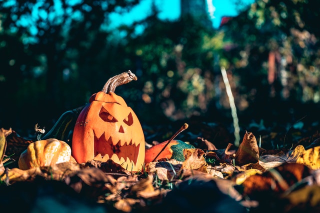 Going from orange to green – these jack-o’lanterns can be turned into renewable energy.
