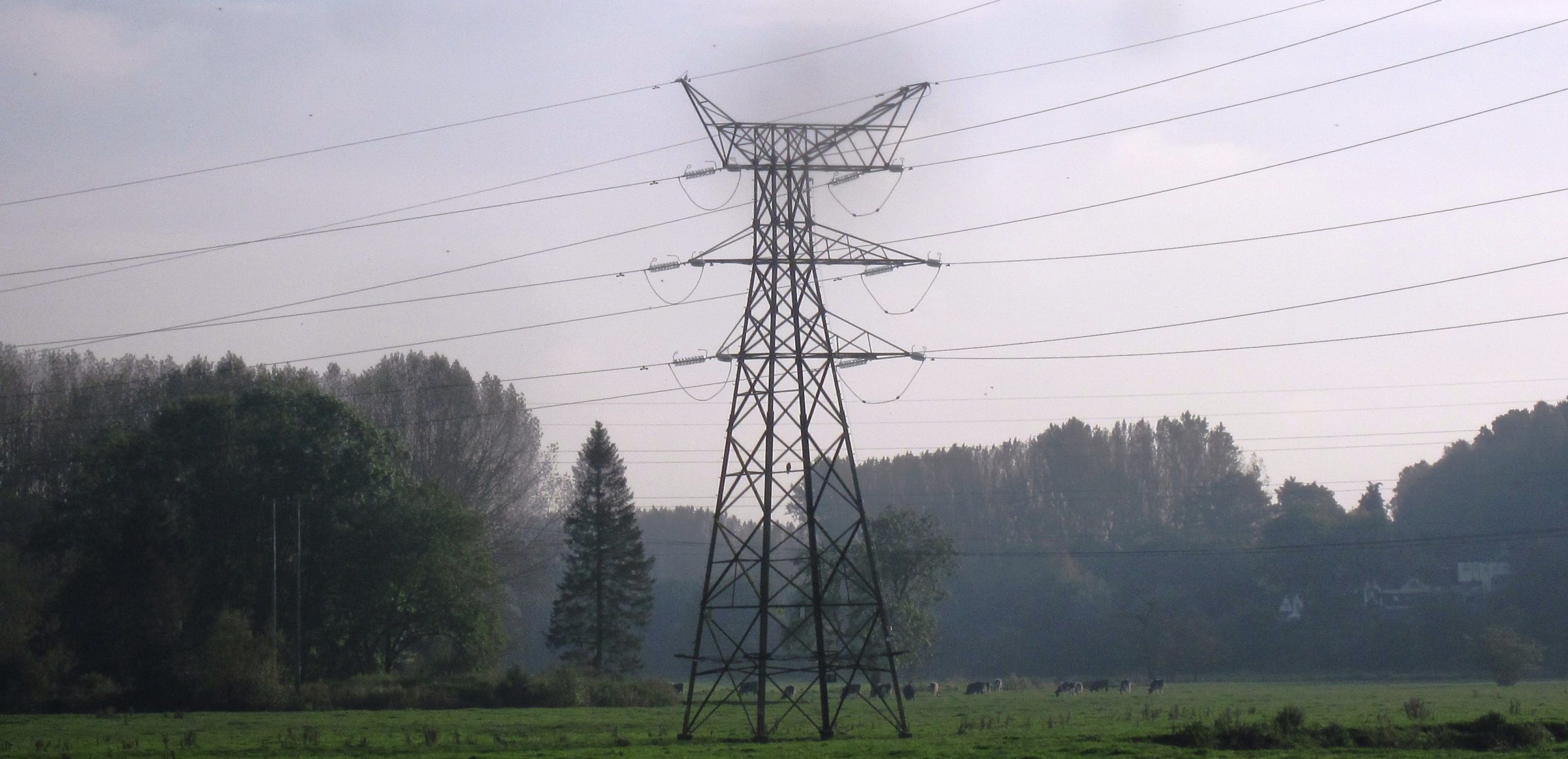 Electricity pylon