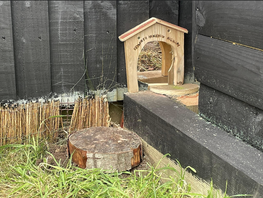 A hole in the fence called a hedgehog highway