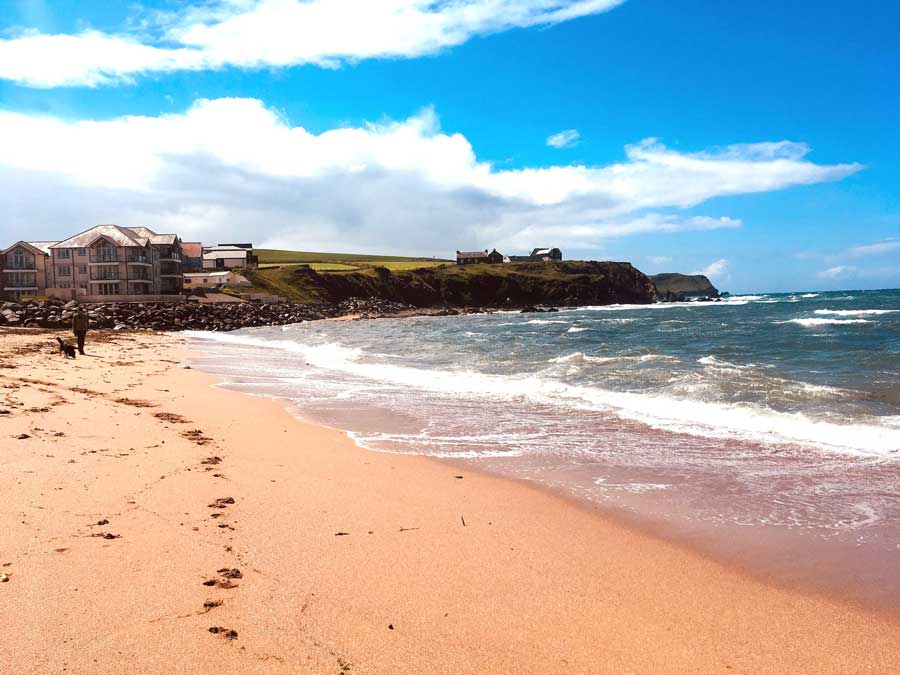 Beautiful view of a beach