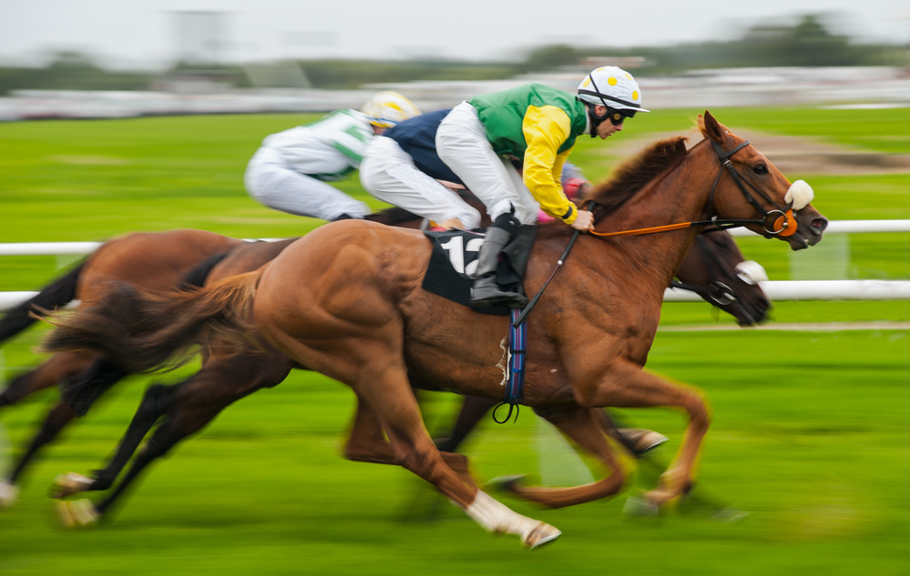 Horse racing