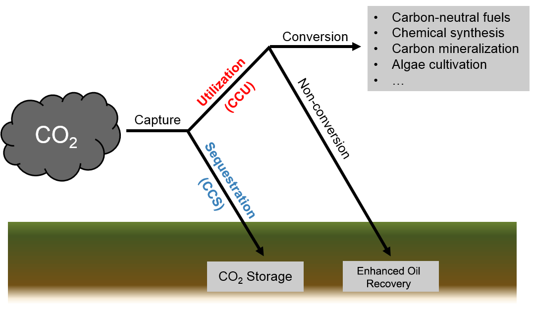 How carbon capture works. Picture: Wikipedia