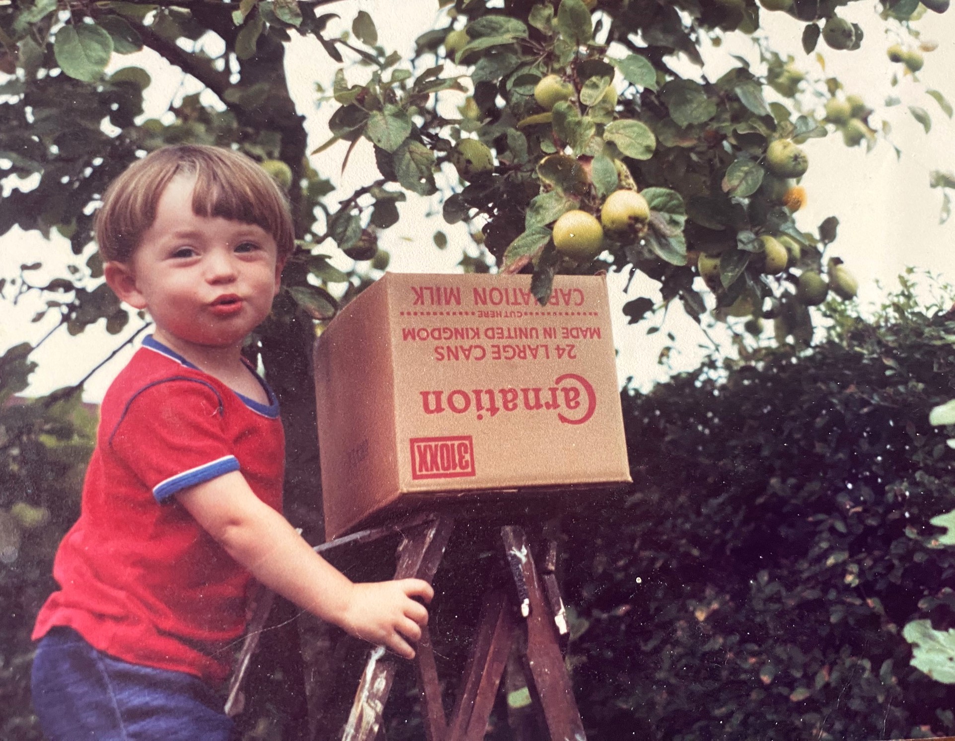 Pick of the crop – a young Andrew Butterworth enjoys climbing the step ladders to get some apples.