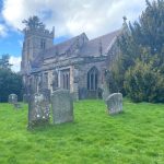 Church of England biodiversity move is praised