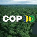 Eight miles of Amazon axed for four-lane highway to climate summit