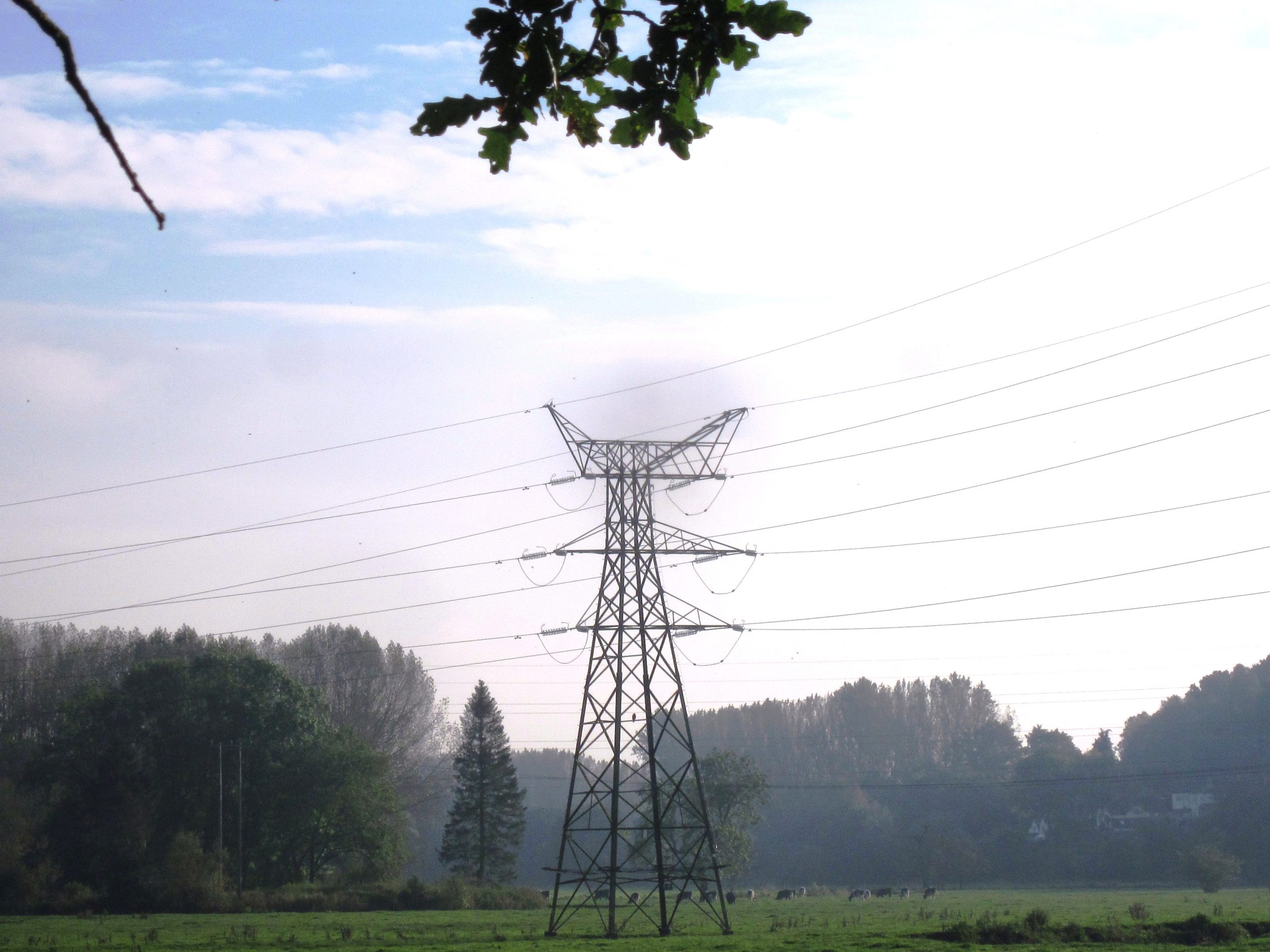 Telling the public the pylons are in the wrong places is cold comfort for a public facing ever-increasing energy costs this winter
