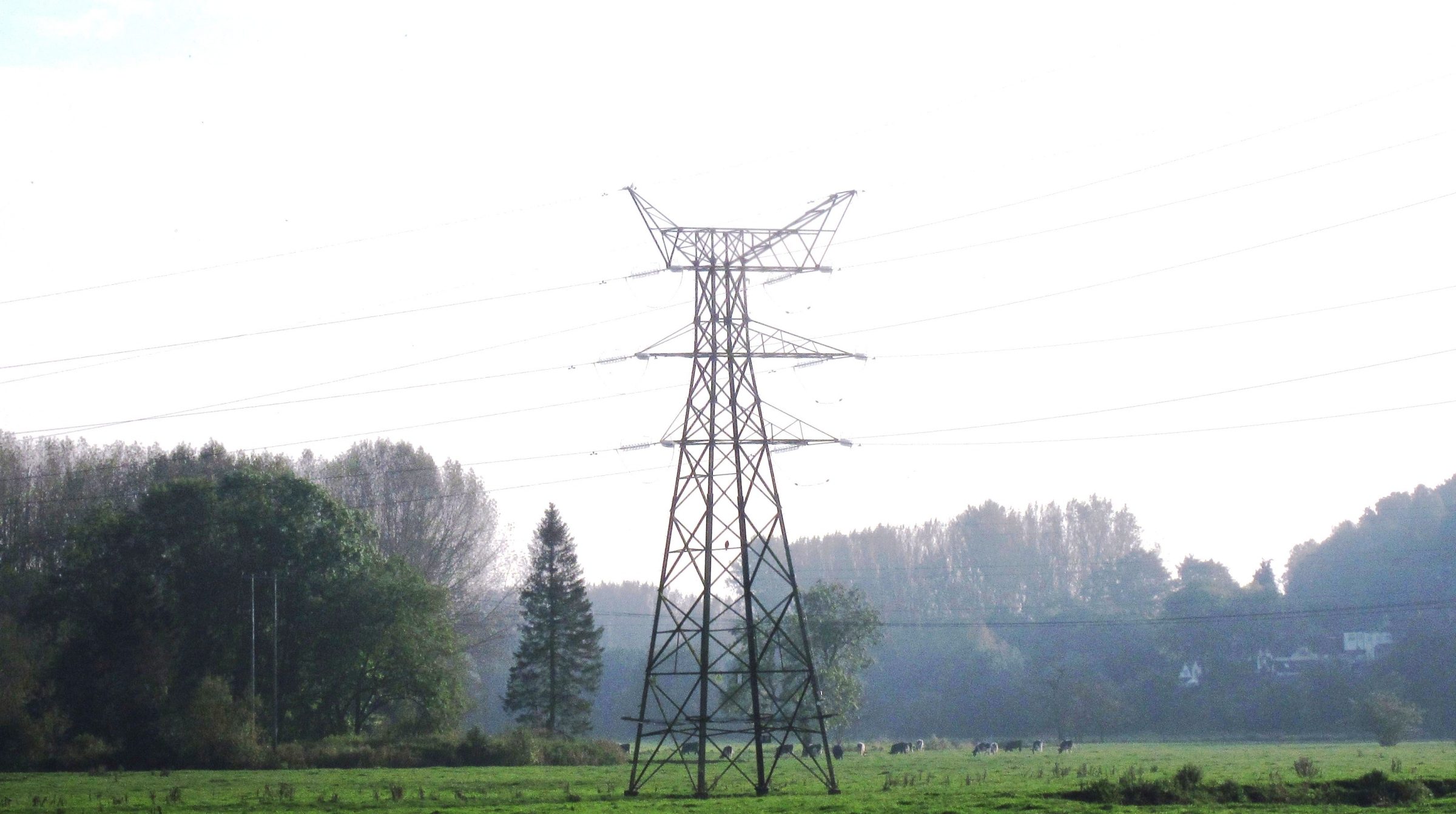 Powerful message with a cut in electricity bills in the Budget. Picture: John Butterworth