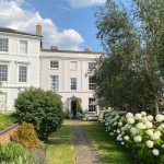 15 key green home and garden jobs to do this month