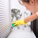 Sort out damp problems now – before Christmas