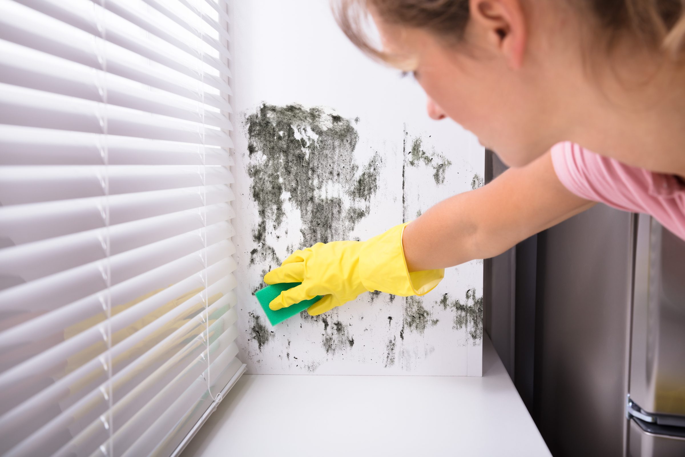 Now is the time to look for tell-tale signs of damp. Picture: Ron Fox.