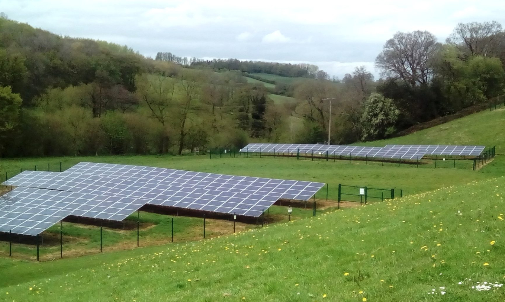 Threatened bird species flocking to solar panel fields - Noreus - All ...