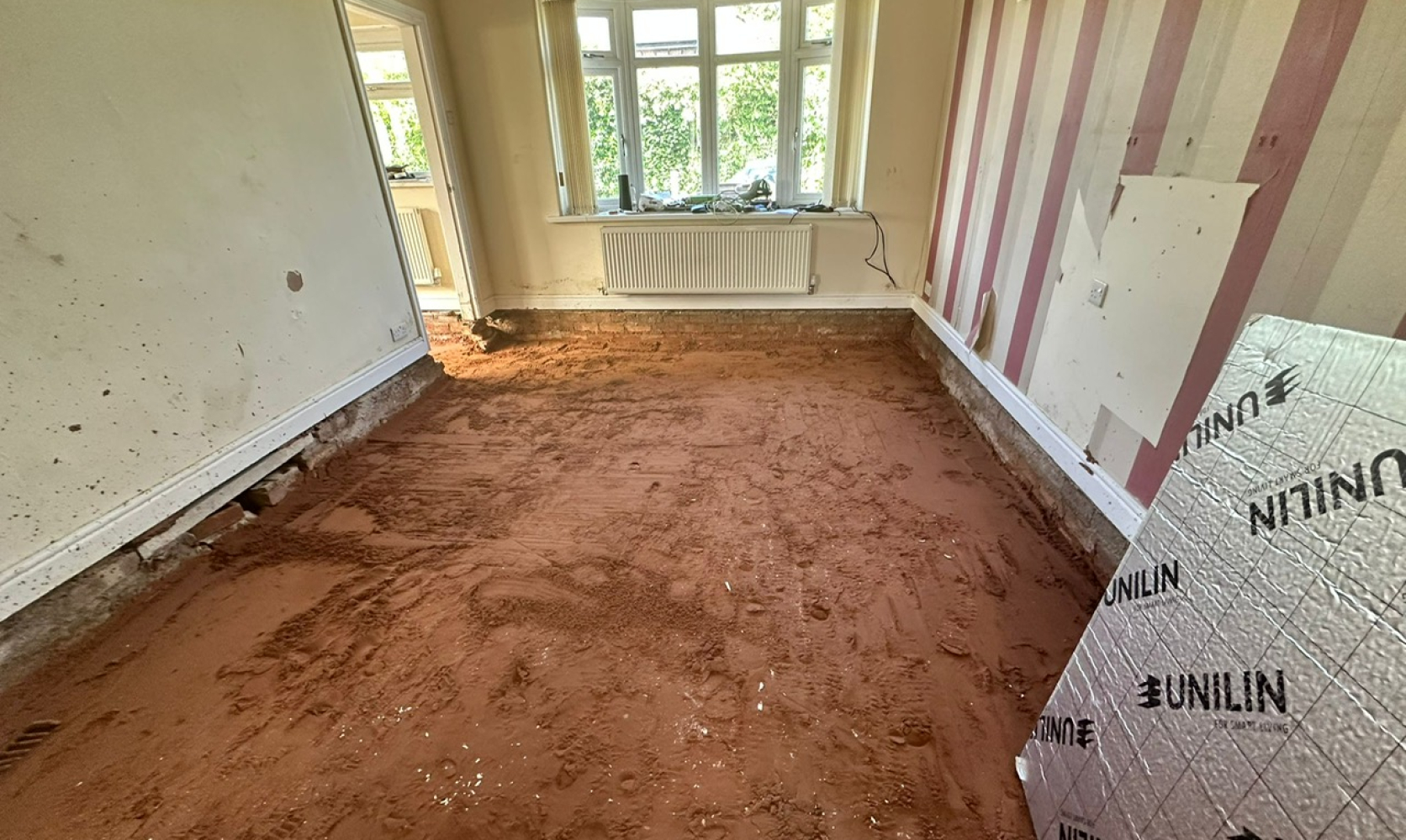 How to bash the problem of red ash in the home - Noreus - All your ...