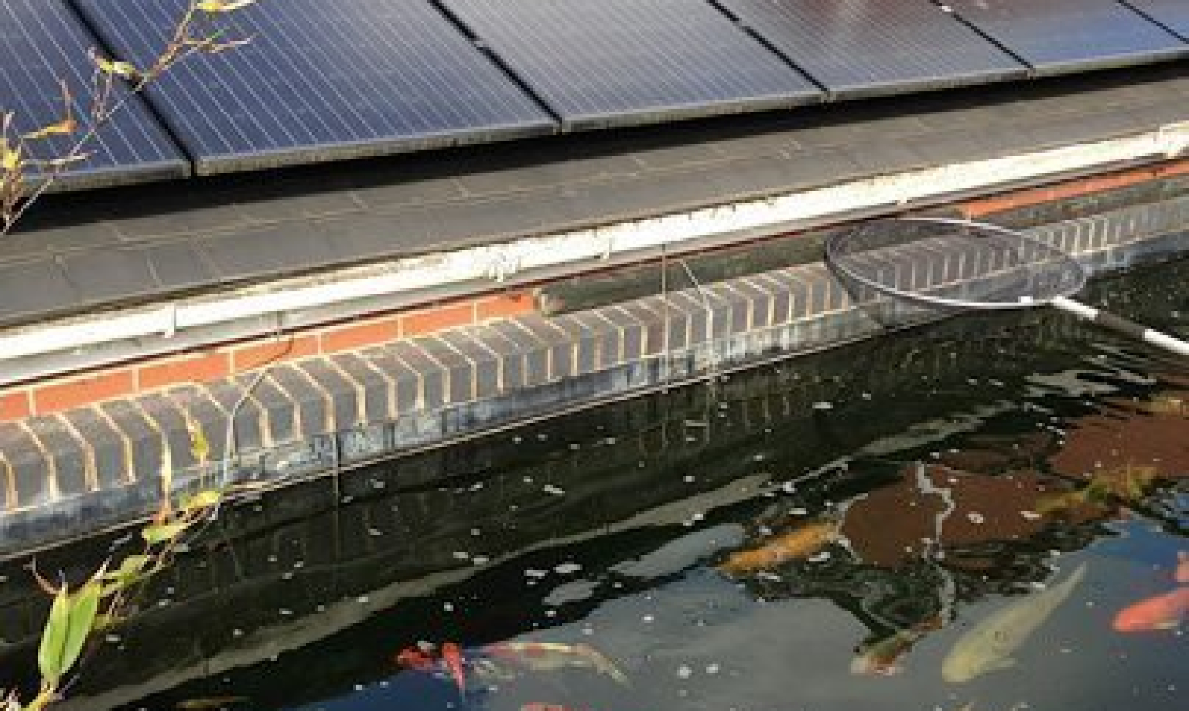 Don't be Koi use solar panels to keep your fish warm Noreus All your renewable energy and